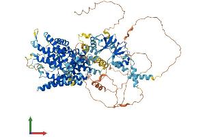 Protein Structure (PS) image for Chloride Channel 2 (CLCN2) (AA 1-908) protein (His tag) (ABIN7565174)