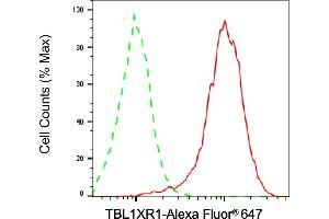 Flow cytometric analysis of TBL1XR1 expression in HepG2 cells using TBL1XR1 antibody (ABIN7800597), 1:2,000). (TBL1XR1 抗体)