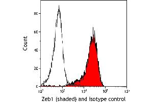 Flow Cytometry (FACS) image for anti-Zinc Finger E-Box Binding Homeobox 1 (ZEB1) (AA 750-800) antibody (ABIN7455173) (Recombinant ZEB1 抗体  (AA 750-800))