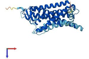 AlphaFold protein structure predicition of Human Recombinant OR10D3 Protein, UniprotID Q8NH80 (OR10D3 Protein (AA 1-312) (His tag))