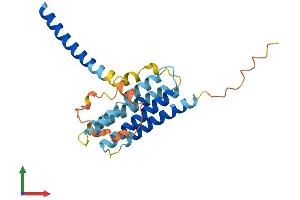 Protein Structure (PS) image for Transmembrane Protein 98 (TMEM98) (AA 1-226) protein (His tag) (ABIN7544656)