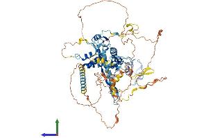 AlphaFold protein structure predicition of Human Recombinant FBXO30 Protein, UniprotID Q8TB52
