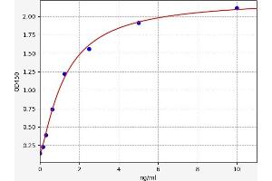 Typical standard curve (NAT8L ELISA 试剂盒)