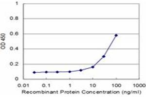 Detection limit for recombinant GST tagged RFXAP is approximately 3ng/ml as a capture antibody. (RFXAP 抗体  (AA 179-244))