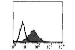 Flow Cytometry (FACS) image for anti-Fas Ligand (TNF Superfamily, Member 6) (FASL) (AA 132-146) antibody (ABIN1105951) (FASL 抗体  (AA 132-146))