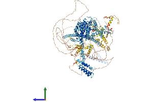 Protein Structure (PS) image for SWI/SNF Related, Matrix Associated, Actin Dependent Regulator of Chromatin, Subfamily A, Member 4 (SMARCA4) (AA 1-1613) protein (His tag) (ABIN7563671)