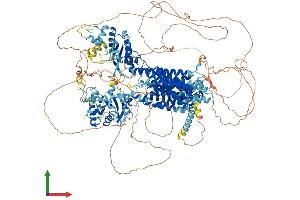 Protein Structure (PS) image for Dispatched Homolog 1 (DISP1) (AA 1-1524) protein (His tag) (ABIN7553685)