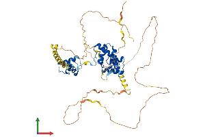 AlphaFold protein structure predicition of Human Recombinant PAX3 Protein, UniprotID P23760