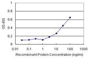Sandwich ELISA detection sensitivity ranging from 3 ng/mL to 100 ng/mL. (TOM1 (人) Matched Antibody Pair)