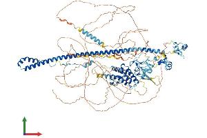 Protein Structure (PS) image for Tripartite Motif Containing 33 (TRIM33) (AA 1-1142) protein (His tag) (ABIN7564925)