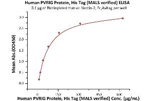 ELISA image for Poliovirus Receptor-Related Immunoglobulin Domain Containing (PVRIG) (AA 41-171) (Active) protein (His tag) (ABIN7013667)