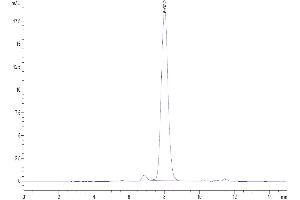 Size-exclusion chromatography-High Pressure Liquid Chromatography (SEC-HPLC) image for Cytotoxic T-Lymphocyte-Associated Protein 4 (CTLA4) protein (His-Avi Tag,Biotin) (ABIN7274437)