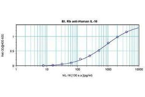 Image no. 1 for anti-Interleukin 16 (IL16) antibody (Biotin) (ABIN465160) (IL16 抗体  (Biotin))