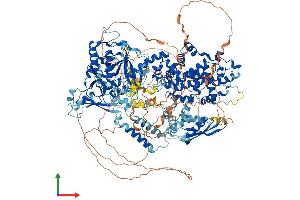 AlphaFold protein structure predicition of Human Recombinant DROSHA Protein, UniprotID Q9NRR4 (DROSHA Protein (AA 1-1374) (His tag))
