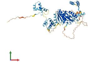 Protein Structure (PS) image for Tigger Transposable Element Derived 4 (TIGD4) (AA 1-512) protein (His tag) (ABIN7544555)