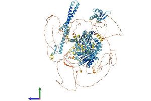 AlphaFold protein structure predicition of Human Recombinant ERCC6 Protein, UniprotID Q03468