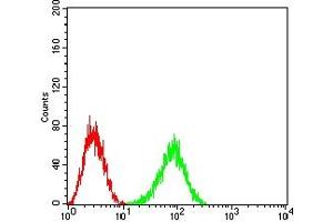Flow cytometric analysis of HL-60 cells using CD148 mouse mAb (green) and negative control (red). (PTPRJ 抗体  (AA 36-210))
