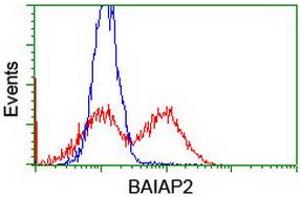 HEK293T cells transfected with either RC214570 overexpress plasmid (Red) or empty vector control plasmid (Blue) were immunostained by anti-BAIAP2 antibody (ABIN2454893), and then analyzed by flow cytometry. (BAIAP2 抗体)