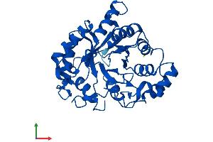 Protein Structure (PS) image for Aldo-Keto Reductase Family 1, Member D1 (AKR1D1) (AA 1-325) protein (His tag) (ABIN7559835)