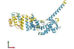 Protein Structure (PS) image for Proteasome (Prosome, Macropain) 26S Subunit, Non-ATPase, 13 (PSMD13) (AA 1-376) protein (His tag) (ABIN7551076)