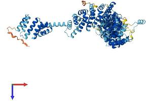 UNC45A Protein (AA 1-944) (His tag)