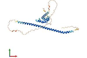Protein Structure (PS) image for Nuclear Apoptosis Inducing Factor 1 (NAIF1) (AA 1-327) protein (His tag) (ABIN7558063)