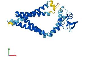 Protein Structure (PS) image for Tetraspanin 8 (TSPAN8) (AA 1-235) protein (His tag) (ABIN7559732)
