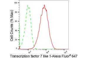 Flow cytometric analysis of Transcription factor 7 like 1 expression in HT- cells using Transcription factor 7 like 1 antibody (ABIN7800588), 1:2,000).
