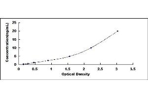 Typical standard curve (CST5 ELISA 试剂盒)