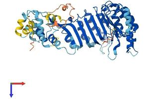 AlphaFold protein structure predicition of Human Recombinant PRAMEF25 Protein, UniprotID A6NGN4