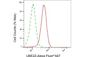 Flow cytometric analysis of UBE2Z expression in HepG2 cells using UBE2Z antibody (ABIN7800754), 1:1,000). (UBE2Z 抗体)