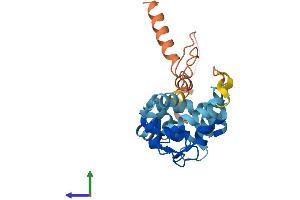 Protein Structure (PS) image for Kv Channel Interacting Protein 4 (KCNIP4) (AA 1-250) protein (His tag) (ABIN7548628)