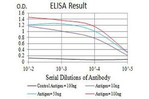 Black line: Control Antigen (100 ng),Purple line: Antigen (10 ng), Blue line: Antigen (50 ng), Red line:Antigen (100 ng) (PAR1 抗体  (AA 42-176))