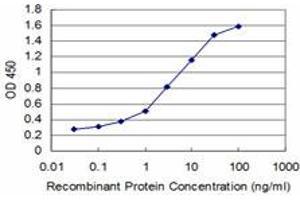 Detection limit for recombinant GST tagged GSC is approximately 0. (GSC 抗体  (AA 151-257))