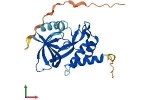 Protein Structure (PS) image for ChaC, Cation Transport Regulator Homolog 1 (CHAC1) (AA 1-223) protein (His tag) (ABIN7559736)