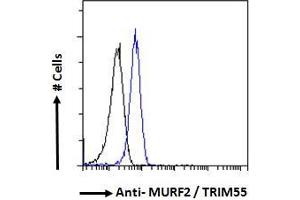 Flow Cytometry (FACS) image for anti-Tripartite Motif Containing 55 (TRIM55) (C-Term) antibody (ABIN184953)