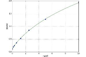 A typical standard curve