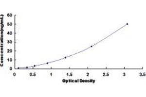 Typical standard curve (SGCD ELISA 试剂盒)