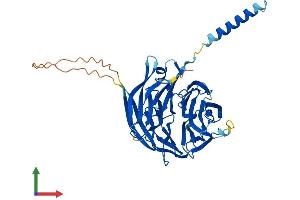 AlphaFold protein structure predicition of Human Recombinant PREB Protein, UniprotID Q9HCU5