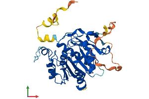 AlphaFold protein structure predicition of Human Recombinant ABHD17C Protein, UniprotID Q6PCB6