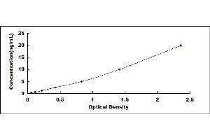 Typical standard curve (Glutamate Receptor 3 ELISA 试剂盒)