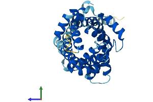Protein Structure (PS) image for Solute Carrier Family 25 (Mitochondrial Oxodicarboxylate Carrier), Member 21 (Slc25a21) (AA 1-298) protein (His tag) (ABIN7559029)