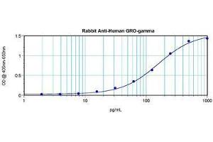 Image no. 4 for anti-Growth Regulated Oncogene gamma (GRO gamma) antibody (ABIN465909) (GRO gamma 抗体)