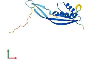 Protein Structure (PS) image for Processing of Precursor 7, Ribonuclease P/MRP Subunit (POP7) (AA 1-140) protein (His tag) (ABIN7550880)
