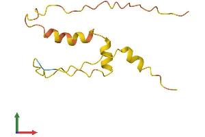AlphaFold protein structure predicition of Human Recombinant ZNF561-AS1 Protein, UniprotID K7EIQ3