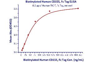 Image no. 3 for T Cell Immunoreceptor with Ig and ITIM Domains (TIGIT) (AA 22-141) (Active) protein (Fc Tag) (ABIN6951013)