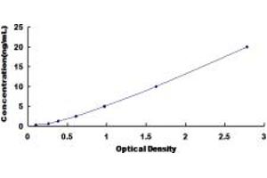 Typical standard curve (USP14 ELISA 试剂盒)