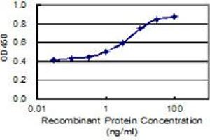 Detection limit for recombinant GST tagged LRRIQ1 is 0. (LRRIQ1 抗体  (AA 1-240))