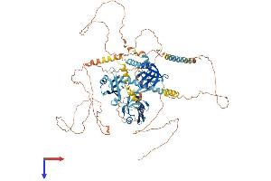 AlphaFold protein structure predicition of Human Recombinant APBA1 Protein, UniprotID Q02410 (APBA1 Protein (AA 1-837) (His tag))