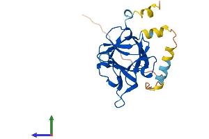 AlphaFold protein structure predicition of Human Recombinant FGF16 Protein, UniprotID O43320